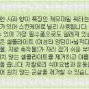 부미즈 이미지