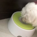 비비펫 동물병원 이미지