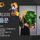 인계초등학교 네이버블로그