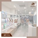 봄앤동물병원 이미지