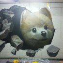 도그스타 이미지