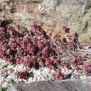 예일스테이 이미지