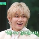 서진금박