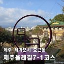 서귀포대신중학교 | [제주올레길 7-1코스 정방향] 서귀포버스터미널 → 제주올레여행자센터 15.7km, 비 안 와서 아쉬웠던...