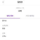 늘봄반려견유치원 네이버블로그