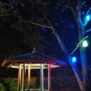 빛의 소나타 | [원주] 빛과 음악의 향연, 원주 오크밸리 &#34;소나타 오브 라이트&#34; 솔직 후기