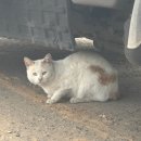산일마을회관 이미지