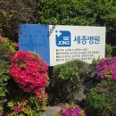 부천 동물심장 내과 건강검진센터 | 부천 세종병원 심장 내과 폐동맥 판막 역류 진료 후기