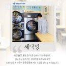 빨래맛집 네이버블로그
