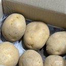 정선감자전 | 두백감자 특징 포슬포슬 정선농부 햇감자 후기