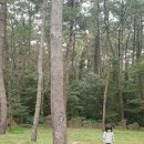 붉은오름자연휴양림 유아숲체험원 이미지