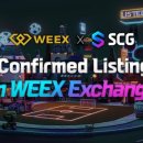 월드스타스크린골프 이미지