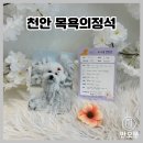 목욕의 정석 이미지