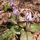 마지기로 이미지