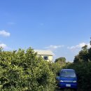 두두농장 이미지