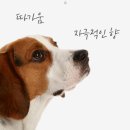 학성약품 이미지