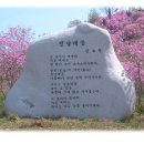 푸른빨래터 이미지