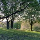 (주)영그린 이미지