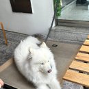 써니베이글 | 대구역 힐스테이트 앞 아침 일찍 여는 유럽풍 브런치 카페 '써니씨드업' 내돈내산 베이글&파스타 후기