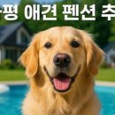 멍스빌리지풀빌라1 이미지