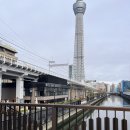 아울리버 이미지