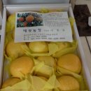 오렌지과 제주 여름황금향 판매 이미지