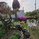 명곡동010 이미지