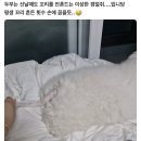 변산반도영농조합법인 | 잊혀진 계절? 아닙니다