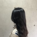 쵸이스미용실 이미지