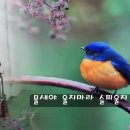 박*일 - 안양시 만안구 | 박*일