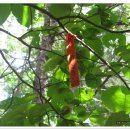 모곡초등학교 이미지