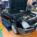 그린카프라자 이미지