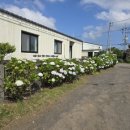 산양보건지소 이미지