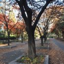 목동서로10길 이미지