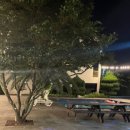 제주도 게스트하우스 파티 빅썸 이미지