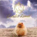 러블릿캔넬 이미지