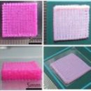 성심동물병원 이미지