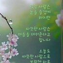 금토끼