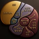 베르니케 이미지