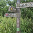 매봉산4 이미지