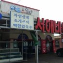 서해백합