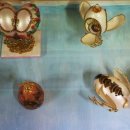 청아농장 이미지