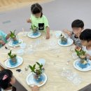 서울양원숲초등학교 이미지