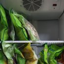 본초한의원 이미지