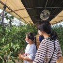 주산농장 이미지