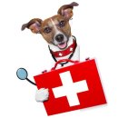 우리아이동물병원 이미지