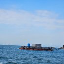 천성낚시터 이미지