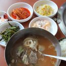 도치돌가든 이미지