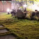 평평스테이 이미지