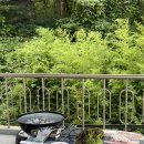 산아래 민박 이미지